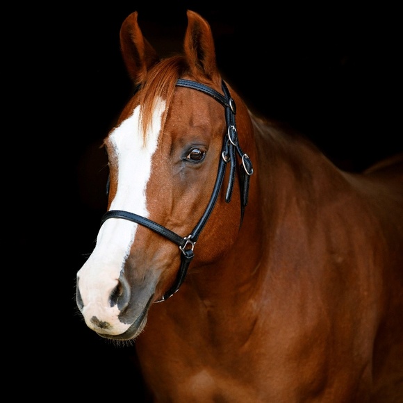 Profile Picture of Tracy Mcmenomy (@r207) on Poshmark