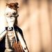 Profile Picture of Benjamin Maher (@benjaminjohnmaher) on Pinterest