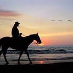 Profile Picture of Ray Cope (@ray.cope) on Instagram
