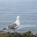 Profile Picture of Christy Brockhouse (@cabrockhouse) on Pinterest