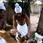 Profile Picture of Babaawo Lfedara (@babaawolfedara) on Instagram