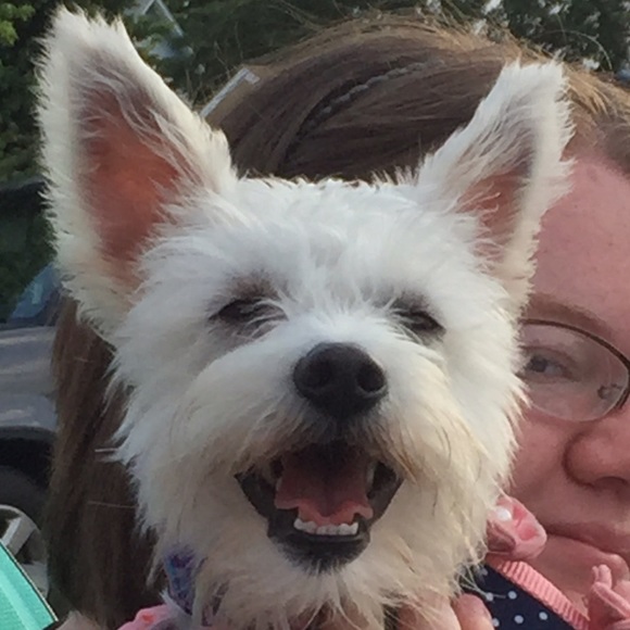 Profile Picture of Bobbi Rosenberger (@brosenbe) on Poshmark