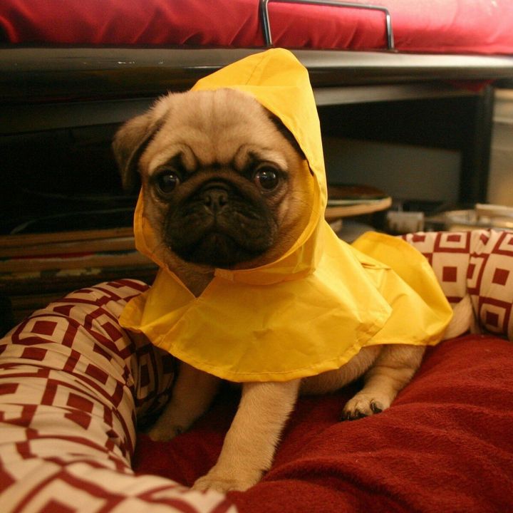 Profile Picture of   Abby (@w1205) on TikTok (@w1205) on Tiktok