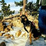 Profile Picture of Jeff Spry (@believeland311) on Instagram