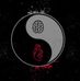 Profile Picture of Omar Aly (@omar.aly.3954) on Facebook