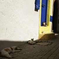 Profile Picture of William Michaud (@william-michaud-4) on Quora