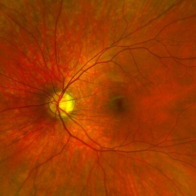 Profile Picture of Brock Palmer (@BrotherCello) on Twitter