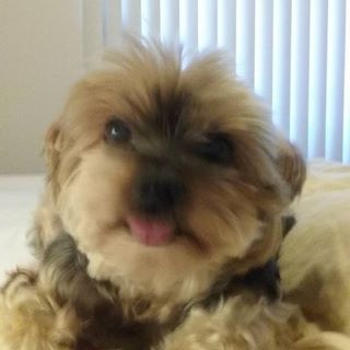 Profile Picture of Phyllis Schmalenberger (@Phyllis-Schmalenberger) on Facebook