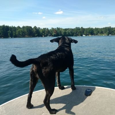 Profile Picture of Kyle Clements (@KyleAClements) on Twitter