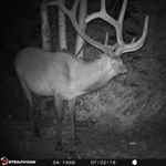 Profile Picture of Shawn Flint/Cameron Leach (@tuffy.outdoors) on Instagram