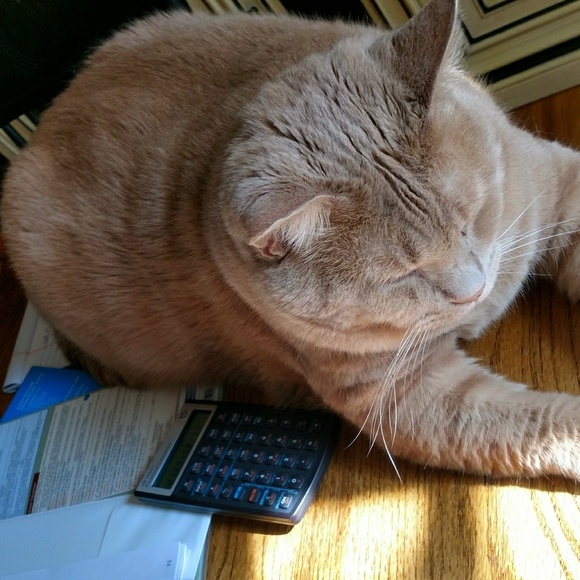 Profile Picture of Andrew Bachman (@rudymbachman) on Poshmark