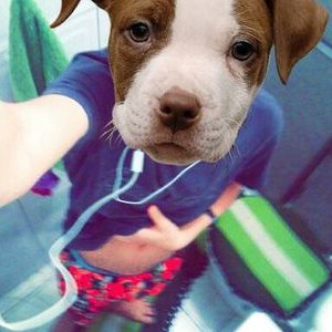 Profile Picture of Alvaro Almeida (@_alvaroalmeida_) on Twitter