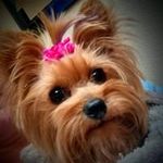 Profile Picture of Connie Riggs (@riggs.connie) on Instagram