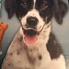 Profile Picture of Barry Wilcox447 (@@user48583904112491) on Tiktok