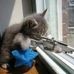 Profile Picture of Richard Boo (@richard.boo.75) on Facebook