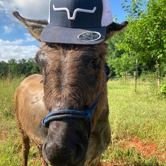 Violet Nelson - Poshmark Profile Picture of Violet Nelson (@violetnelson769) on Poshmark