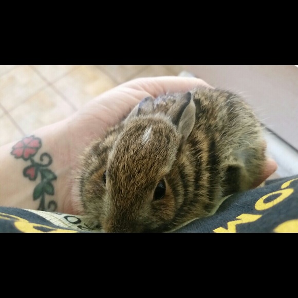 Profile Picture of Cheryl Blevins (@motherofmany) on Poshmark