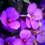 Profile Picture of mcraesmith_photography (@mcraesmith_photography) on Instagram