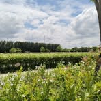 Profile Picture of Nettle Chappell (@piper.andre.2024) on Facebook