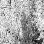 Profile Picture of Armbrecht (@js32leggatt) on Instagram