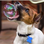 Profile Picture of Digby Webster-smith (@digbyosm) on Flickr