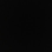 Profile Picture of Erin Simms (@erinsimms3004) on Youtube