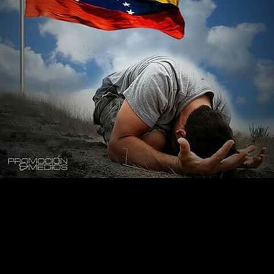 Profile Picture of Alex Gamboa (@alexgamboa033) on Twitter