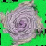 Profile Picture of Tracey Gray (@traceygrayj4540) on Instagram