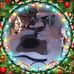 Profile Picture of David Wilt (@david.wilt.54) on Facebook