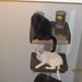 Profile Picture of David Bernacchi (@pets4luv) on Pinterest