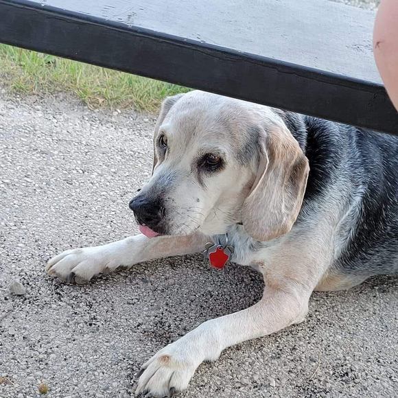 Profile Picture of Megan Wilbert (@meganw1978) on Poshmark