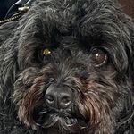 Profile Picture of Keith Anthony Hyde (@keith.a.hyde) on Instagram