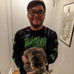 Profile Picture of Brian Shin (@brinbranshin) on Instagram