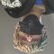 Profile Picture of Nicholas Bell (@nicholas.bell.5074) on Facebook