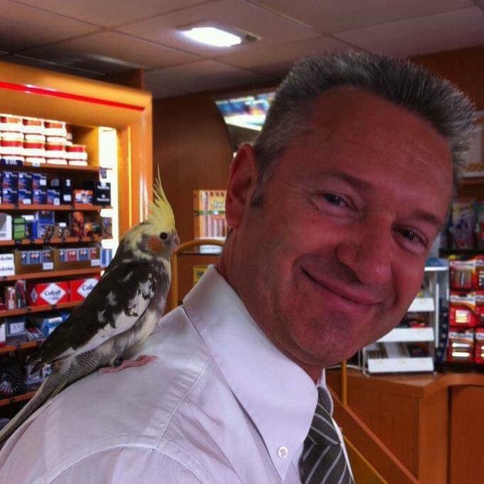 Profile Picture of Robert Goldberg (@robert_goldberg1) on Tiktok