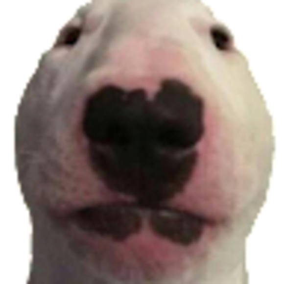 Profile Picture of Kevin Wick (@dwick237) on Poshmark