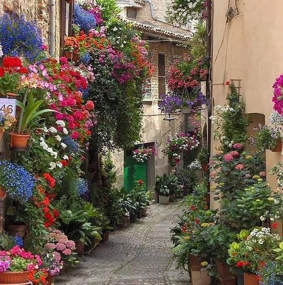 Profile Picture of Sonia Cuchilla (@elmirador1996) on Poshmark