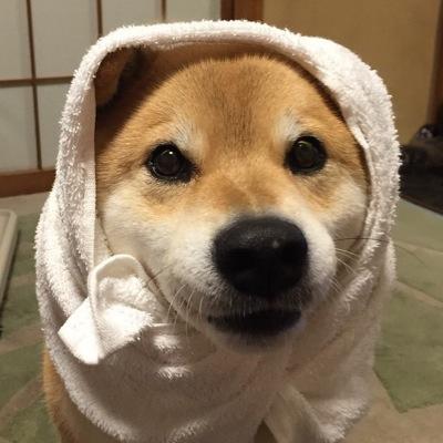 Chase Wong - Twitter Profile Picture of Chase Wong (@wong_chase) on Twitter