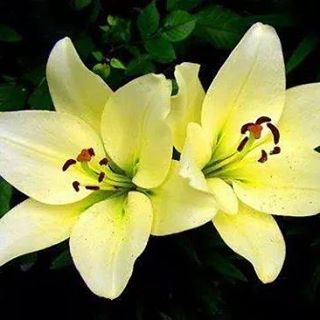 Profile Picture of Venkatraman Murali (@Venkatraman-Murali) on Facebook