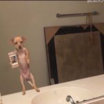 Profile Picture of Brad Cook (@braddjcook) on Instagram