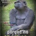 Profile Picture of Peter Loera (@loera_peter) on Instagram