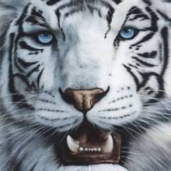 Igor Golden - Facebook Profile Picture of Igor Golden (@Igor-Golden) on Facebook