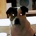 Profile Picture of Randall Hamm (@randall.hamm.528) on Facebook