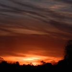 Profile Picture of terry neeley (@tneeley64) on Instagram