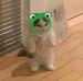 Profile Picture of Maurice Steiner (@maurice.steiner.549) on Facebook