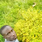 Profile Picture of Brian Kipkoech (@Brian-Kipkoech) on Facebook