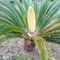 Profile Picture of Phyllis Robertson (@phyllis.robertson.3532) on Facebook