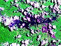 Profile Picture of Lake Calirayaon Wikipedia