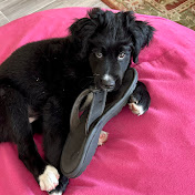 Profile Picture of Jeff Zinn (@jeffzinn7091) on Youtube