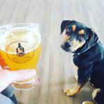 Profile Picture of Michael Wayne Neil (@mike.neil.737) on Instagram